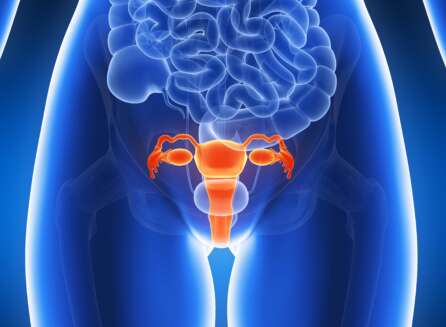 Ovarian Health