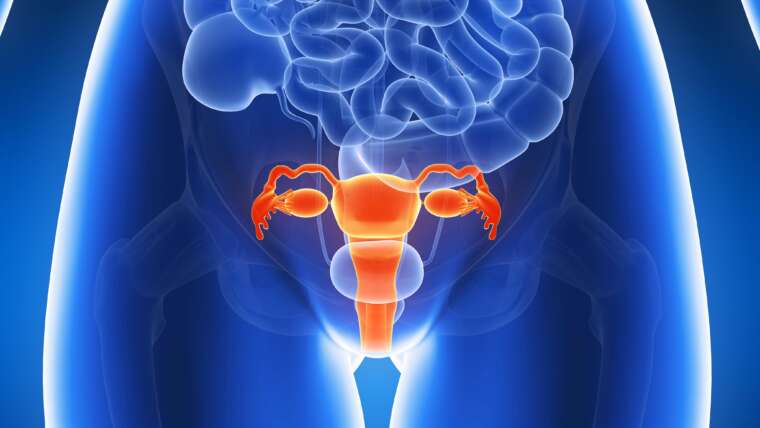 Ovarian Health