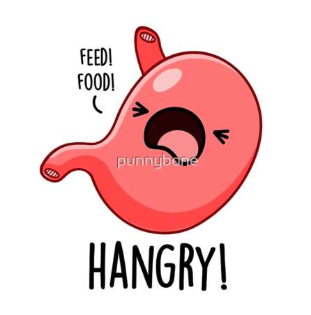 Stomach Jokes